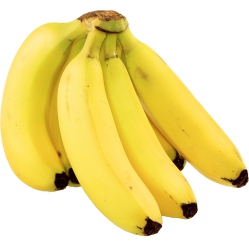 Bananas,Bunch