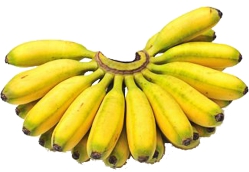 Baby Banana Bunch