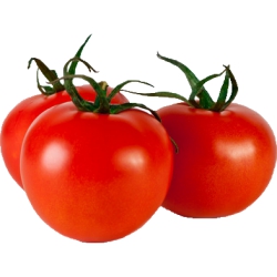 Tomato On-The-Vine Organic