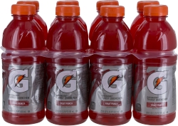 Gatorade 20Z Fruit Punch