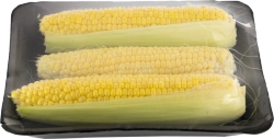 Fresh Corn 3 Pack