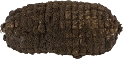 Navel Pastrami Chule