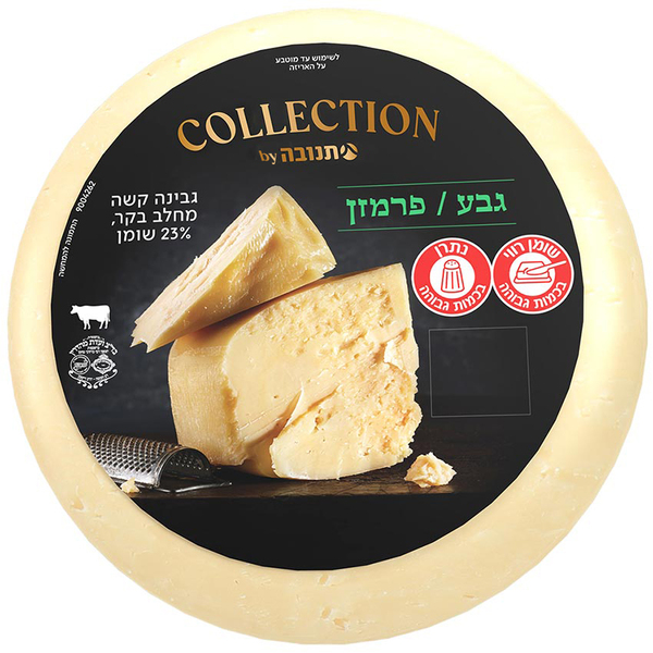 גבינה קשה גבע פרמזן