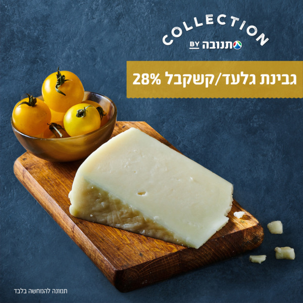גבינת גלעד קצ'קבל מח
