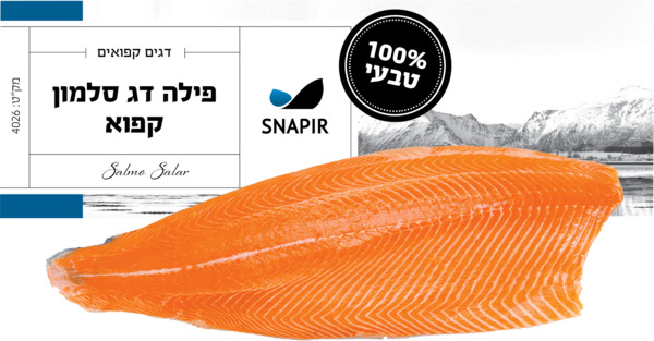 פילה סלמון קפוא 0.9-1.4 קג