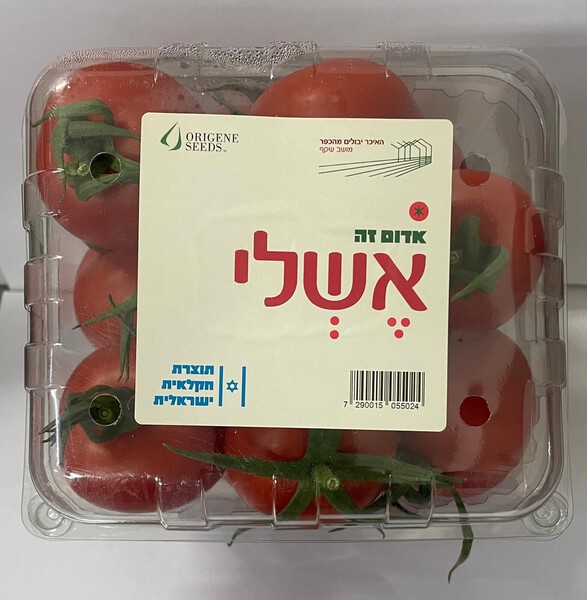 עגבנייה אשלי ארוזה