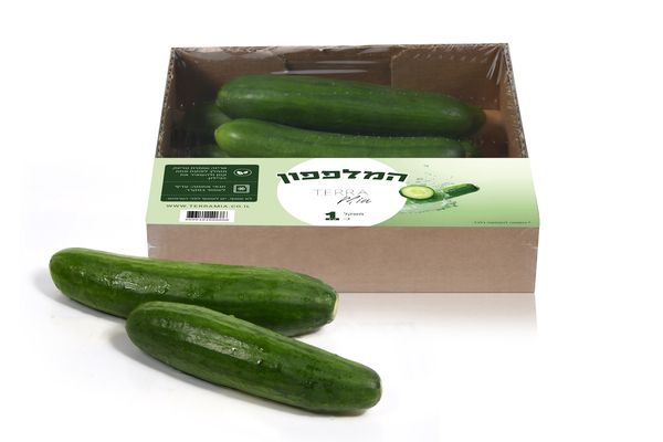 מלפפון כ- 1 ק״ג