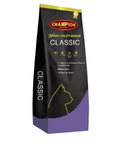 צמפיון קלאסיק לחתול