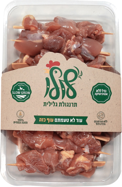 שיפודי פרגית פטם טרי ארוז לולו