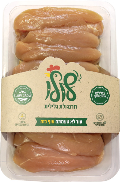 פילה עוף
