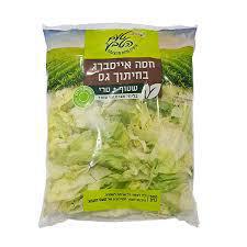 חסה אייסברג 500גר שטראוס