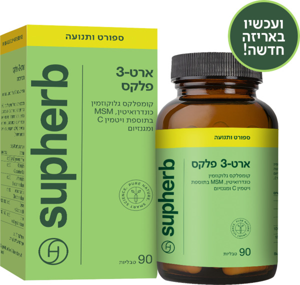 ארט 3 פלקס
