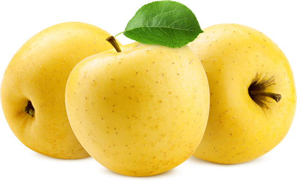 תפו"ע מוזהב