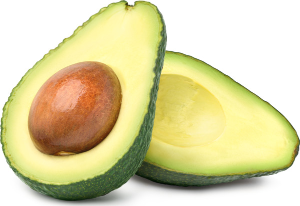 אבוקדו