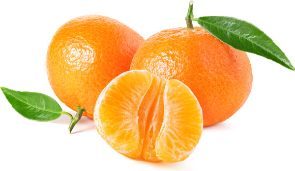 קלמנטינה ברשת