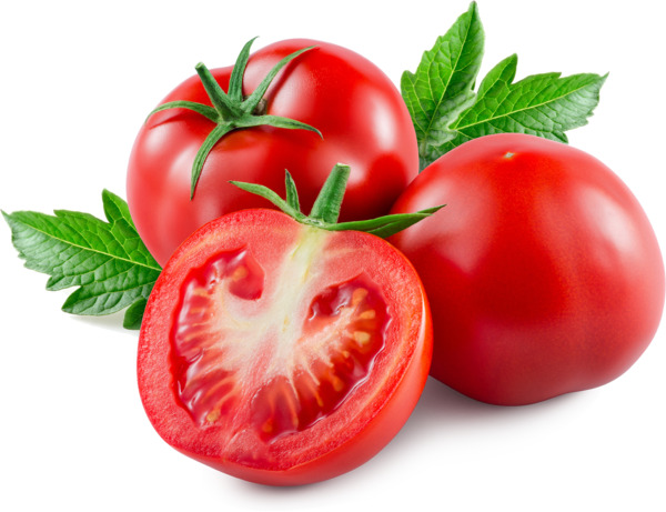 עגבניה אורגנית