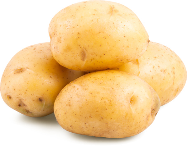 תפוח אדמה אורגני