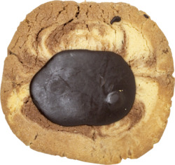 Bkry Large Cookies