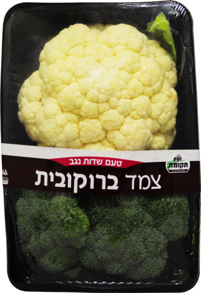 ברוכובית יחידה