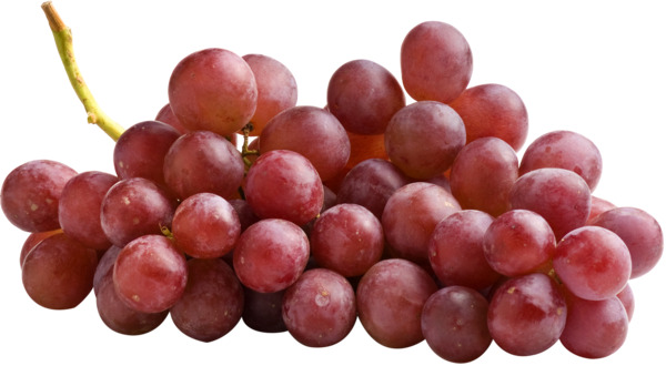 ענב אדום ייבוא ליח  