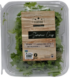 Summer Crisp Lettuce