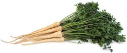 Parsley Roots