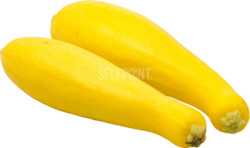 Yellow Squash