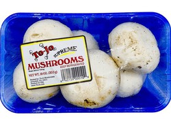 Mushroom White Cello