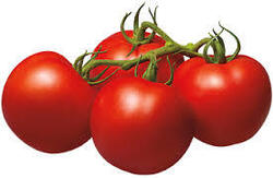 Tomatoes On Vine Stem Cluster