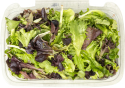Washed & Checked Spring Mix