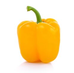 Pepper Yellow Organic Holland