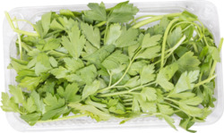 Parsley Washed & Checked