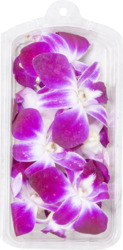 Edible Orchid