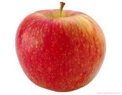 Honey Crisp Apple