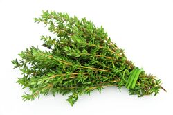 Fresh Thyme