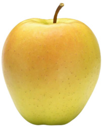 Fancy Golden Delicious