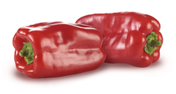 Red Roasting Peppers