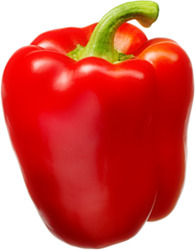 Pepper Red Fancy Holland
