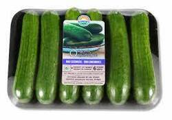 Mini Organic Cucumber