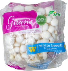 100% Natural White Beech Mushrooms