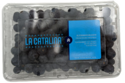 Blueberries Pint