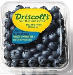 Blueberries