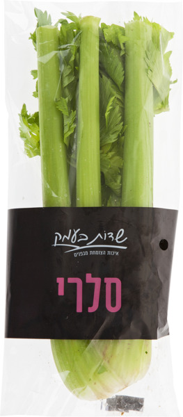 סלרי חתוך שדות בעמק