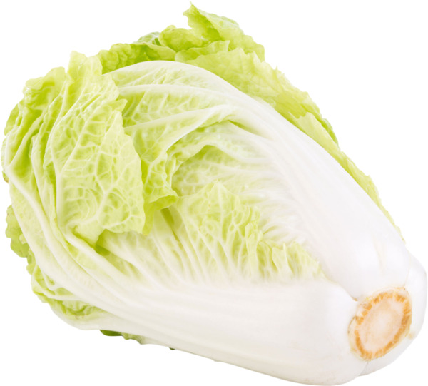 כרוב סיני שדות בעמק