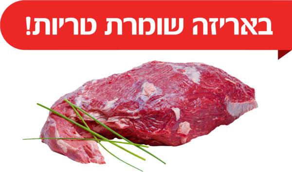 שייטל לרוסטביף טרי א