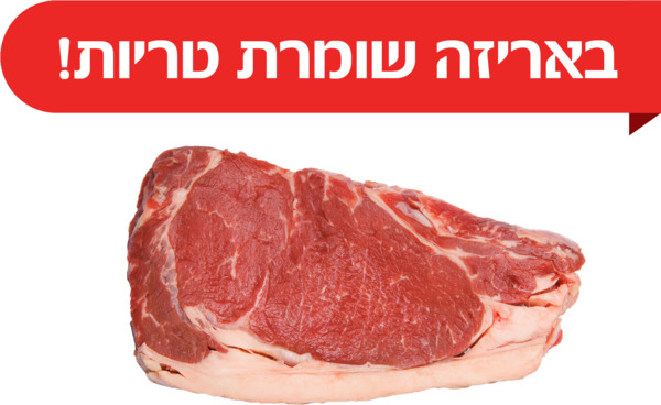 סטייק ניו יורק טרי א