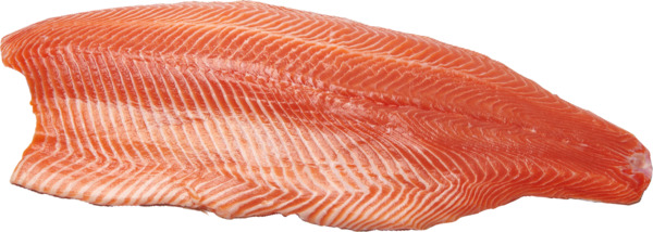 פילה דג סלמון קפוא