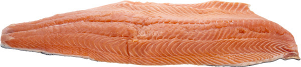 פילה דג סלמון