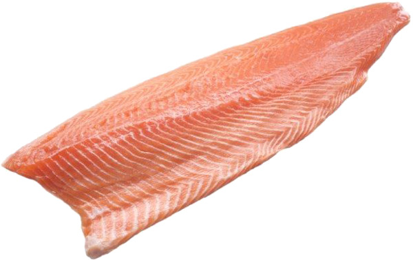 פילה סלמון קפוא