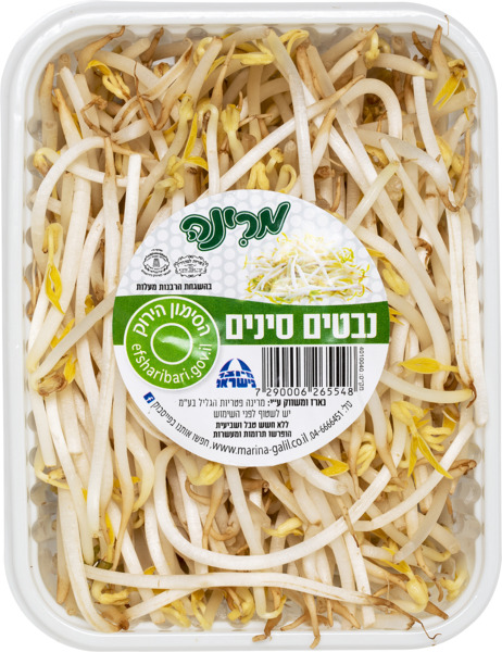 נבטי צנונית אורגני